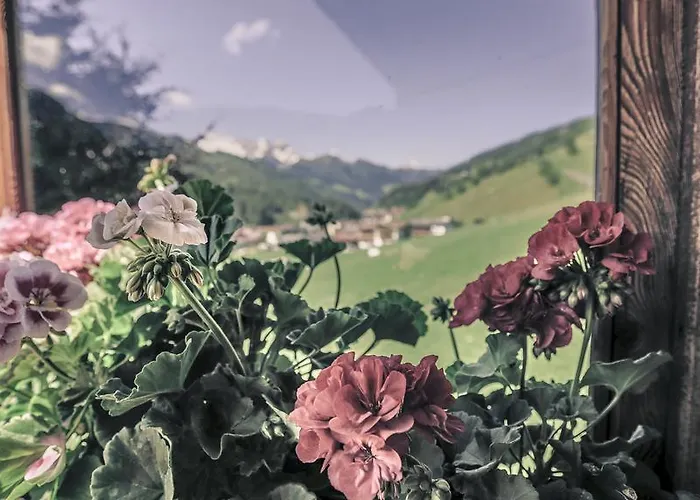 赫特尔里尔霍夫公寓 招待所 盖洛斯